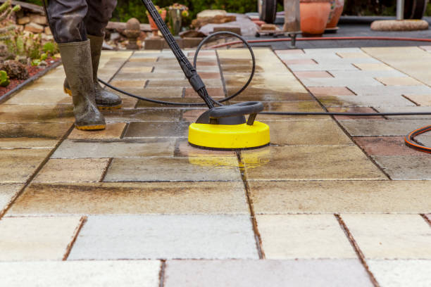 Best Pre-Holiday Cleaning  in Black Earth, WI